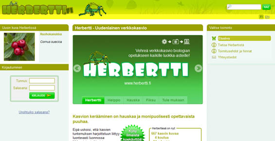 Herbertti